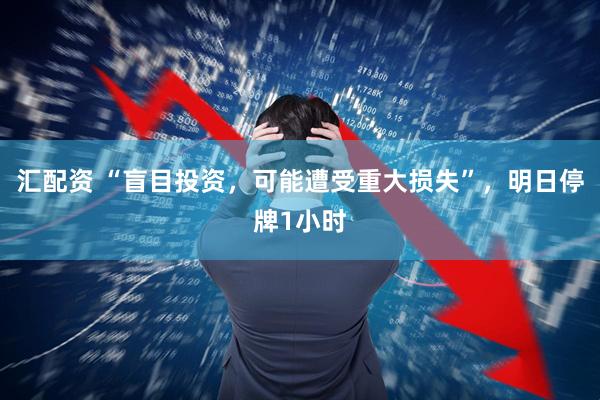 汇配资 “盲目投资，可能遭受重大损失”，明日停牌1小时