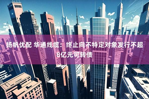 扬帆优配 华通线缆：终止向不特定对象发行不超8亿元可转债