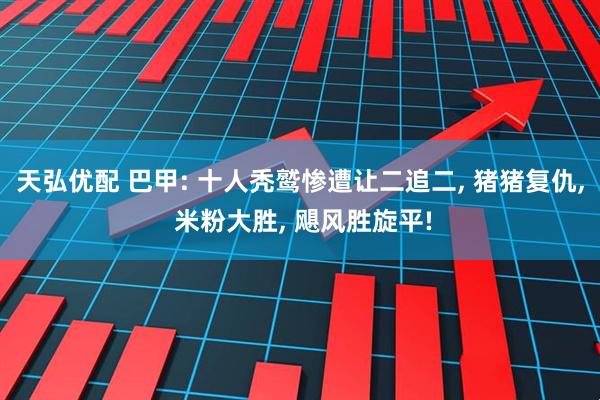 天弘优配 巴甲: 十人秃鹫惨遭让二追二, 猪猪复仇, 米粉大胜, 飓风胜旋平!